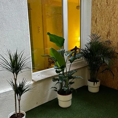 게스트하우스 Charming From Xix Century 3*